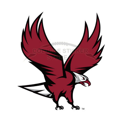 Personal NCCU Eagles Iron-on Transfers (Wall Stickers)NO.5370
